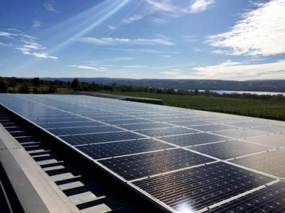 Wagner Vineyards Solar Panels