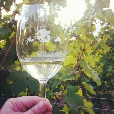 Riesling glass in the vineyard