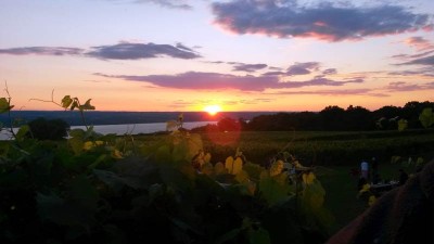 Sunset over the vineyard from the brewdeck