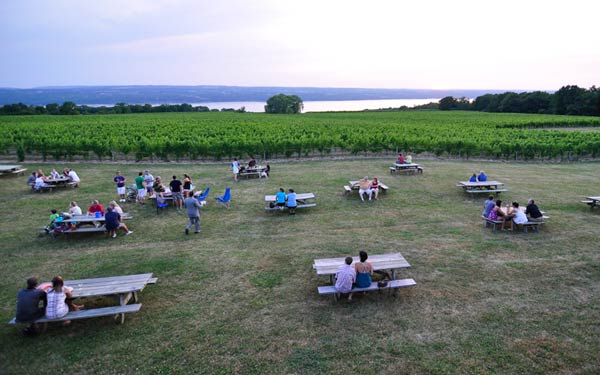 Guests at picnic tables on the lawn with vineyard and lake